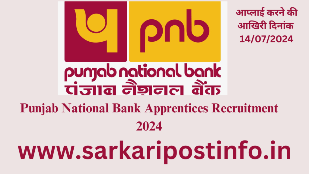 Punjab National Bank Apprentices Recruitment 2024